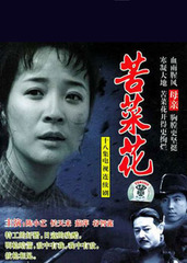 苦菜花(2004)