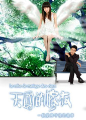 天国的嫁衣_电视剧资料库